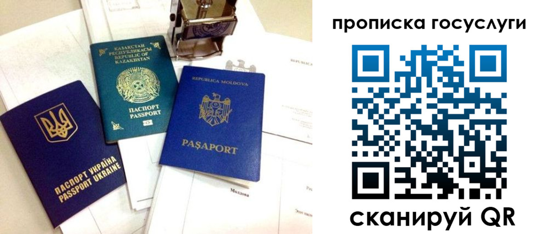 купить прописку в Лосино-Петровском